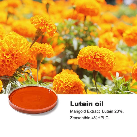 Lutein Oil