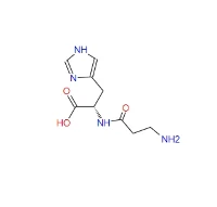 CARNOSINE