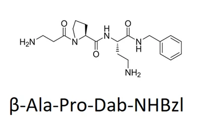 DIPEPTIDE DIAMINOBUTYROYL BENZYLAMIDE