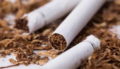 Tobacco flavor